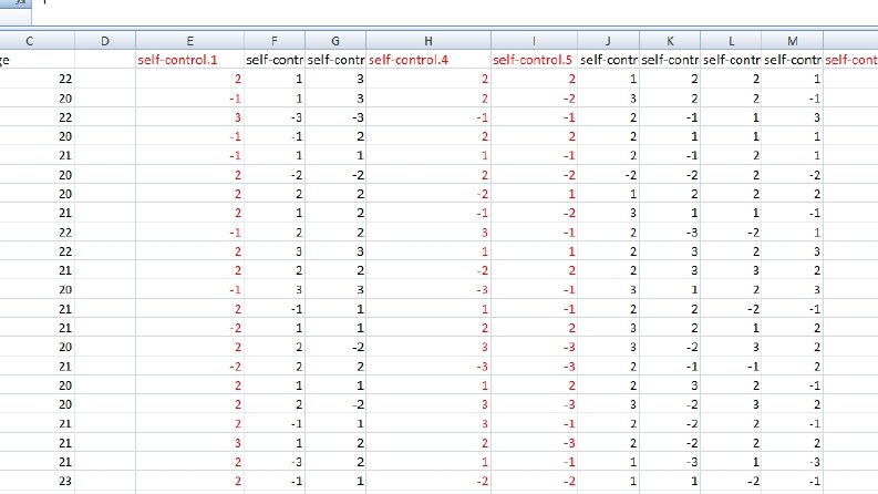 Excel Veri Girişi