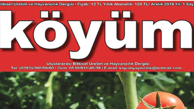 İş örneğim