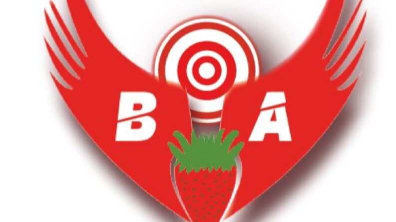 Yayıncı Logo Tasarımı