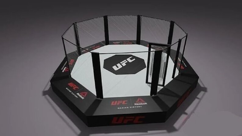 3D MMA kafesi