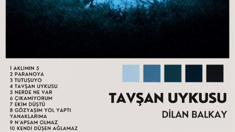 Sanatçı Albüm Afiş Çalışması
