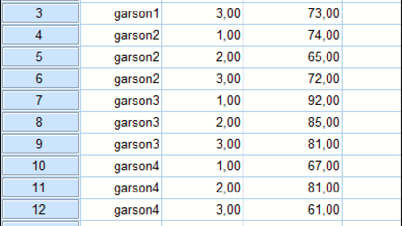 SPSS ANOVA TESTİ