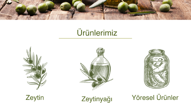 Zeytin ve zeytinyağı üreten firma için katalog tasarımı