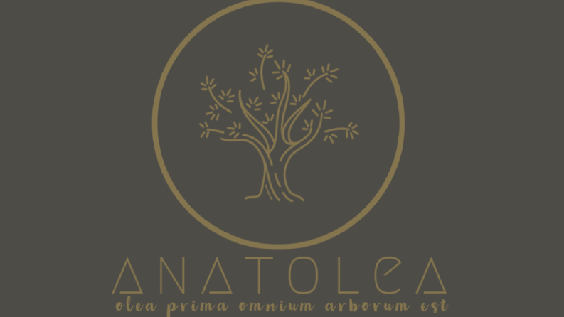 Profesyonel logo tasarımı