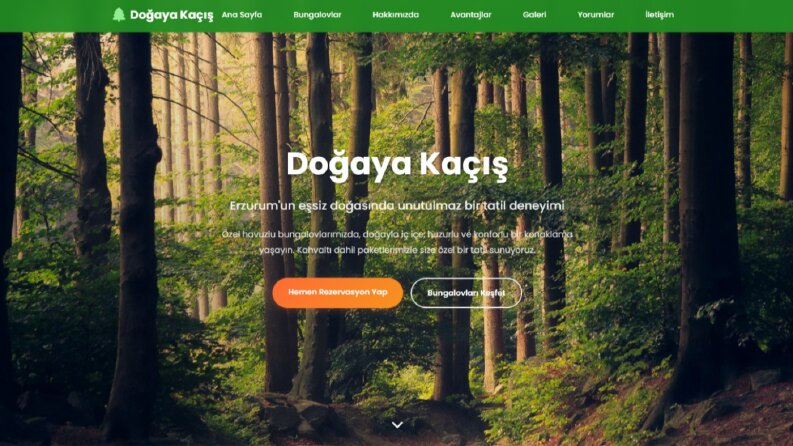 Bunglov Temalı Web Sitesi