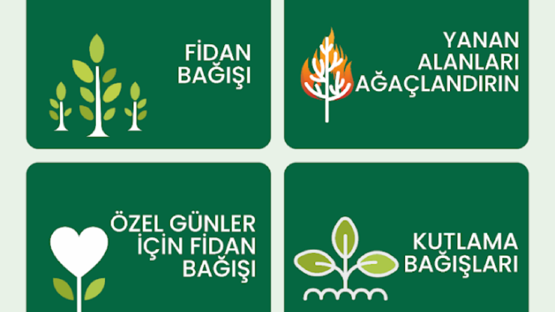 Yesil Dünya