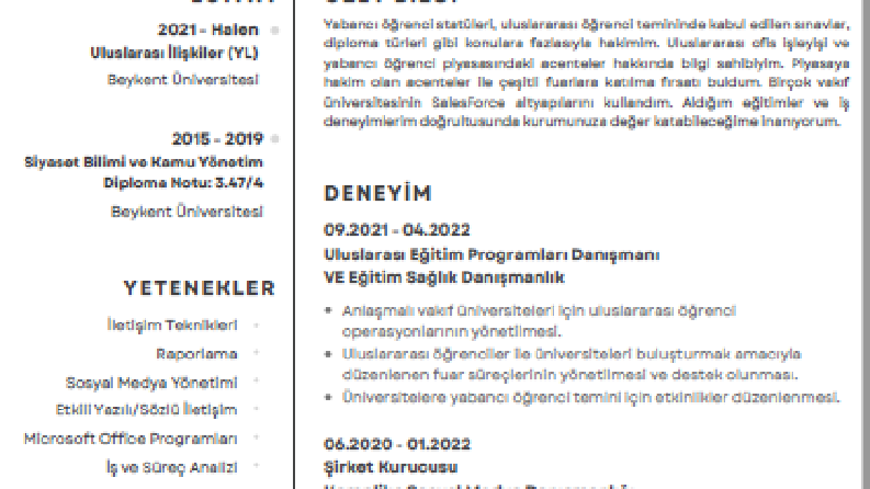 Minimalist Özgeçmiş Örneği
