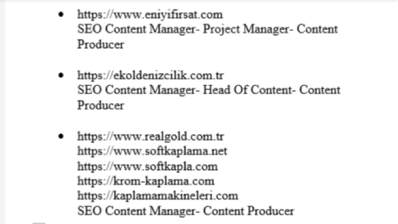 SEO CONTENT MANAGER