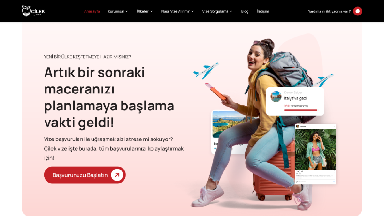Çilek Vize-Web Arayüz Tasarımı