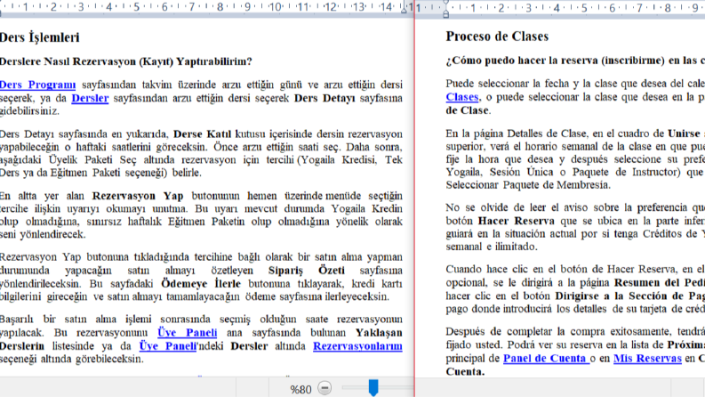 Türkçeden İspanyolcaya web site çevirisi
