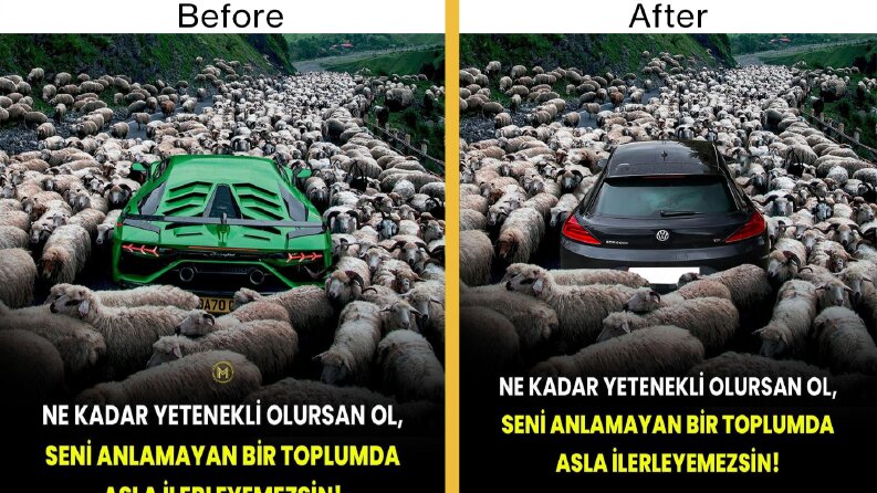 Photoshop ve düzenleme işlemi.