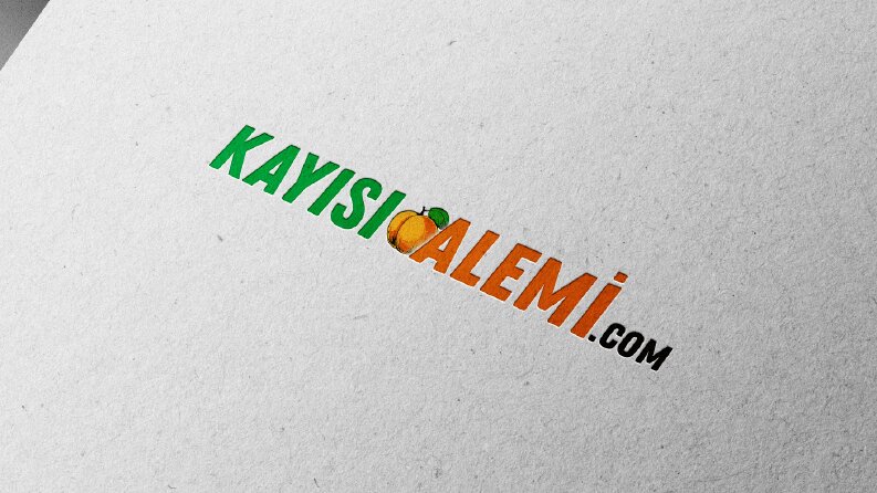 Profesyonel Logo Tasarımı