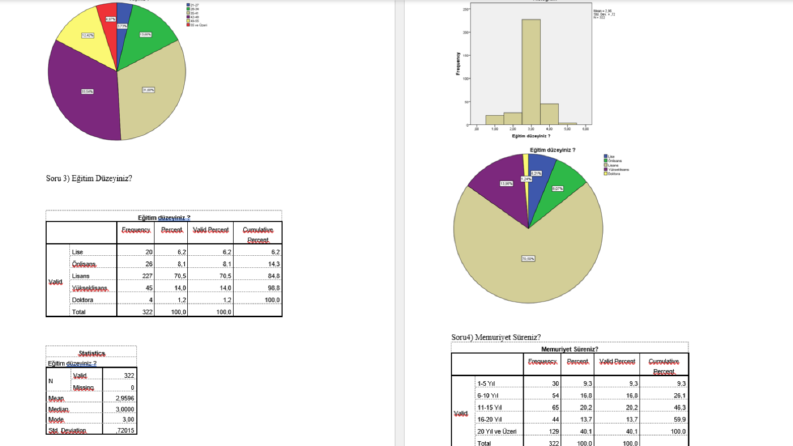 SPSS-20 ve EViews