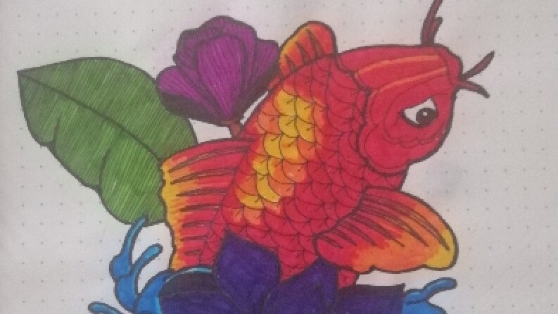 Koi 