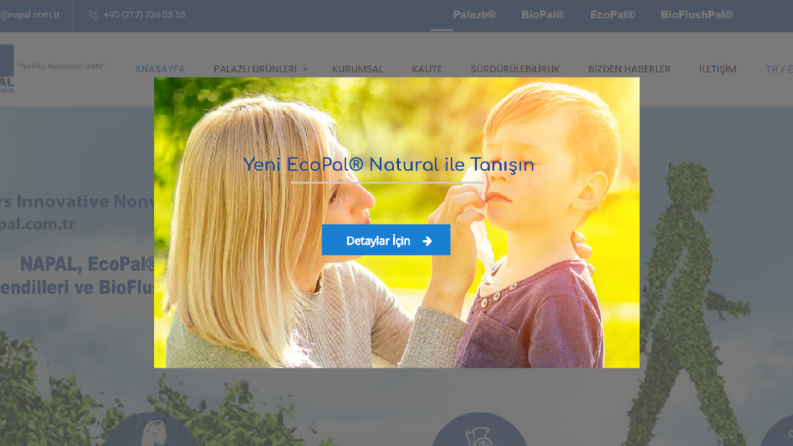 Sektörel Ve Yenilikçi Web Tasarımı