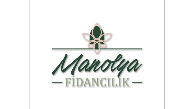 Fidan Üretimi Yapan Firma - Logo Tasarımı