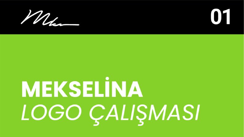 Temizliğin Gücü: Mekselina Ürünü Logosu