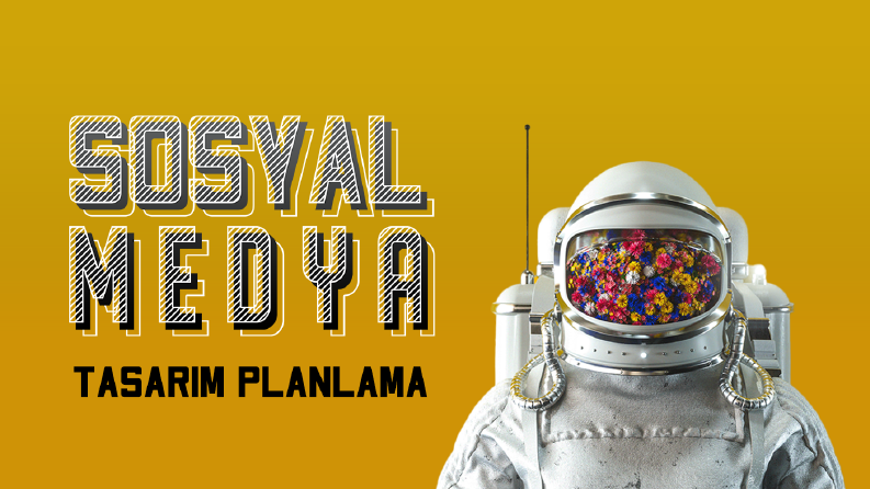 sosyal medya