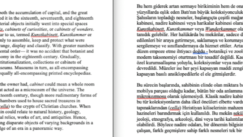 Akademik Yazı Çevirisi