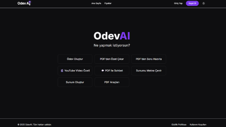 AI Destekli Web ve MVP Projeleri