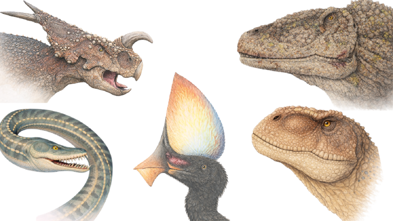 Paleoart - Fosilden İllüstrasyon