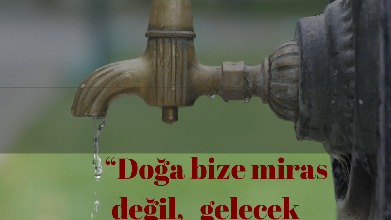 Afiş ve Broşür Tasarımı