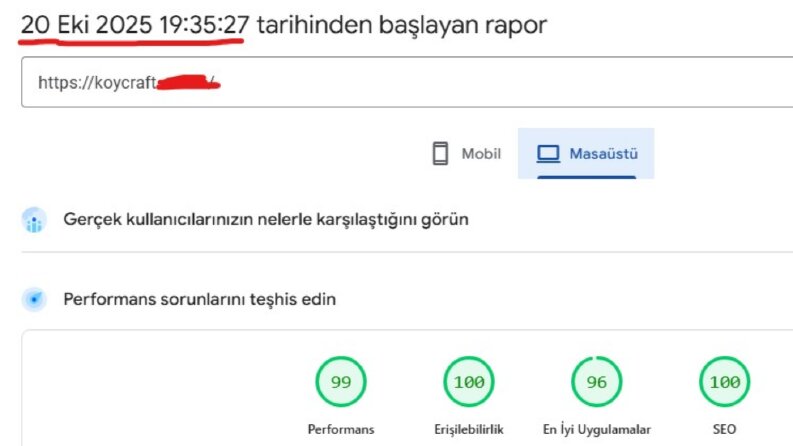 Yapmış olduğum web sitesinin page speed sonuçları