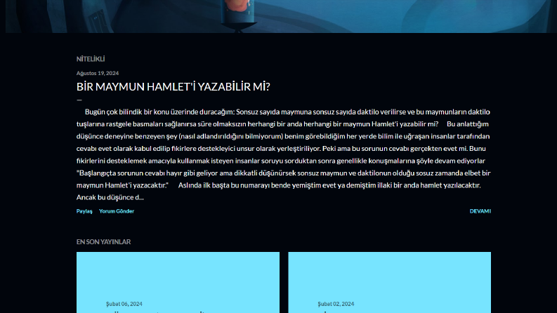 Blog Yazarlığı