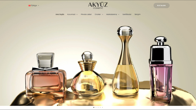 Akyuz Cosmetic Web Tasarımı