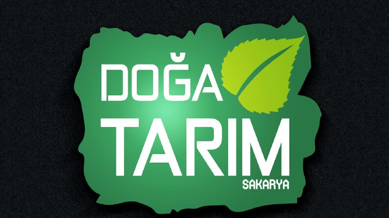 Logo--2