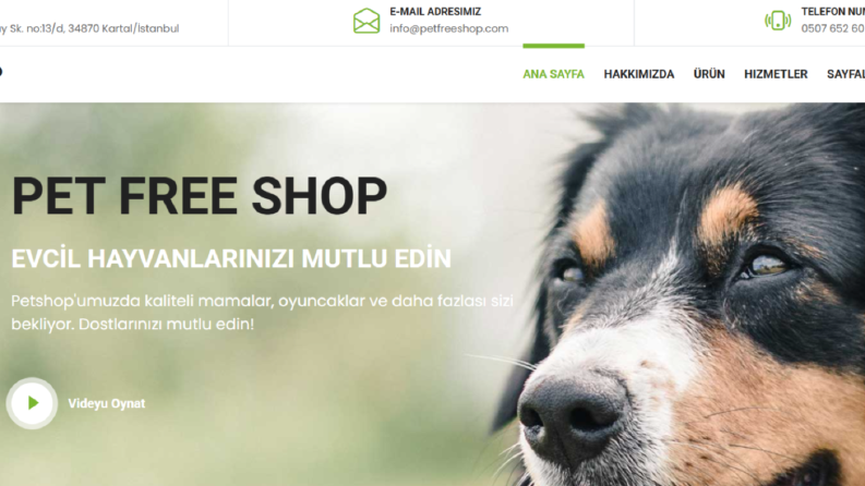 Bir işletmeye yaptığım web sitesi