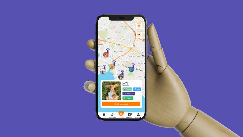 Social Animals - UX/UI Design