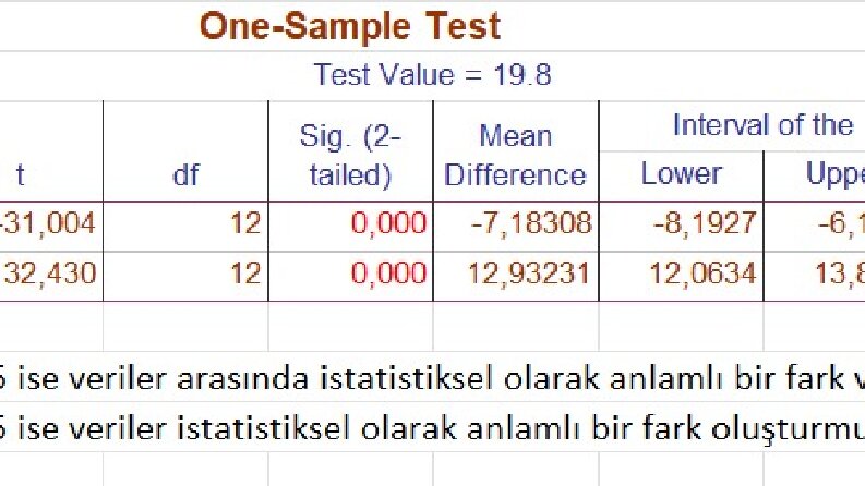 IBM SBSS, MİNİTAB İstatistiksel Veri Analizi
