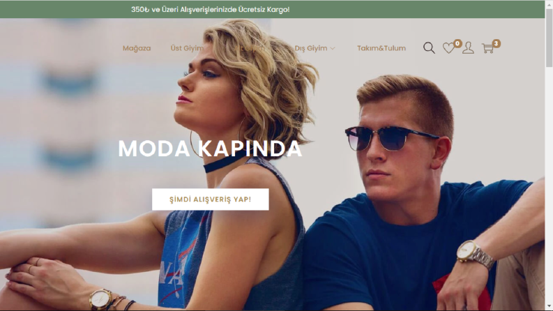Wordpress tabanlı website