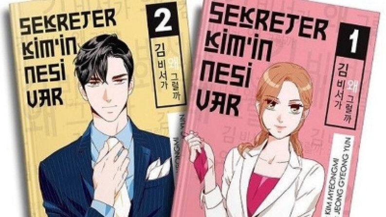 Manga/Manhwa çeviri
