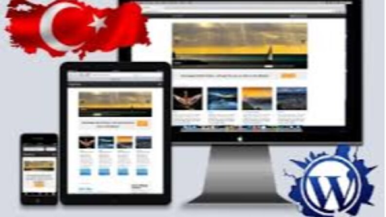 WordPress Tema Türkçeleştirme