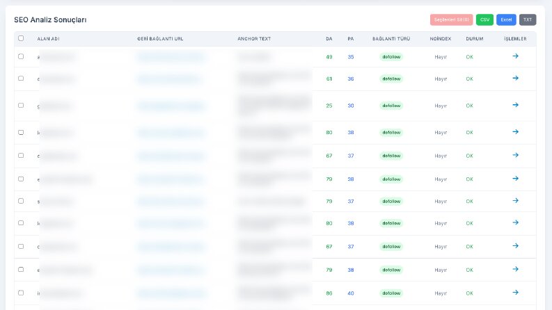 Yüksek Otoriteli Backlink Raporu Haziran 2025 - v1