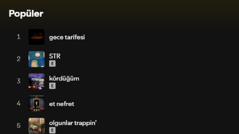 portfolyom eserlerim