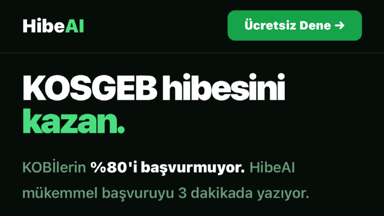 HibeAI KOSGEB Başvuru Landing Page Tasarımı