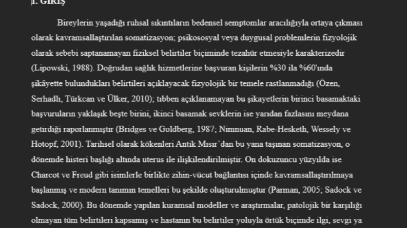 Akademik Çalışmalar