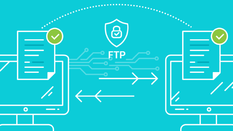 cPanel Site Taşıma Aracı