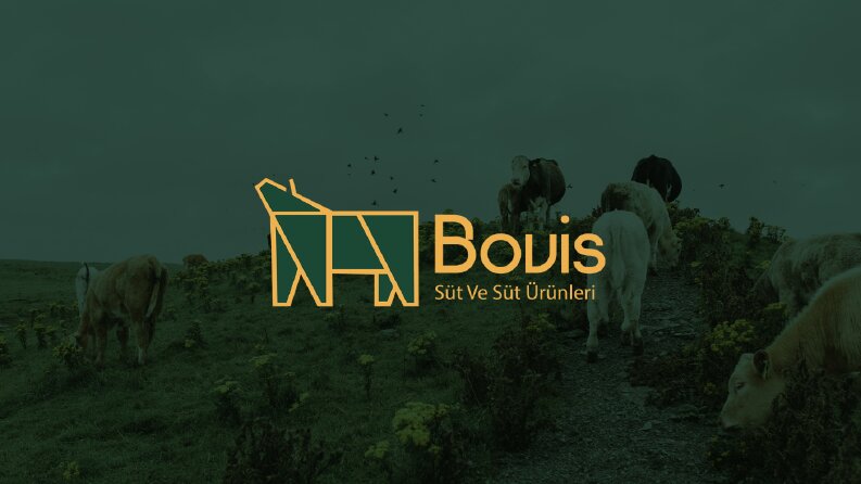 ''Bovis'' Logo Tasarımı