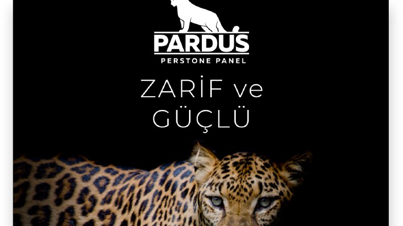 Sosyal Medya Tasarımları 