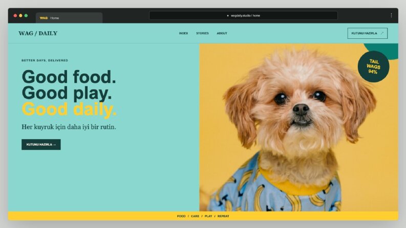WAG DAILY - Petshop E-Ticaret Konsepti