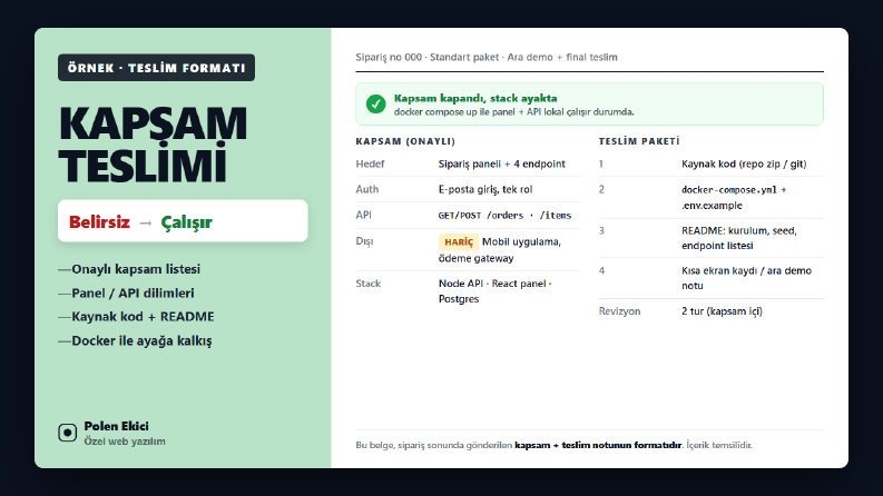Özel Web Yazılım Kapsam ve Teslim — Demo