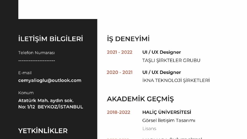profesyonel cv hazırlama ve tasarımı