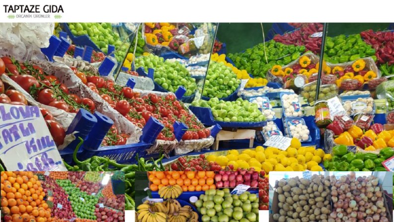 manavzeynel.com için web sitesi