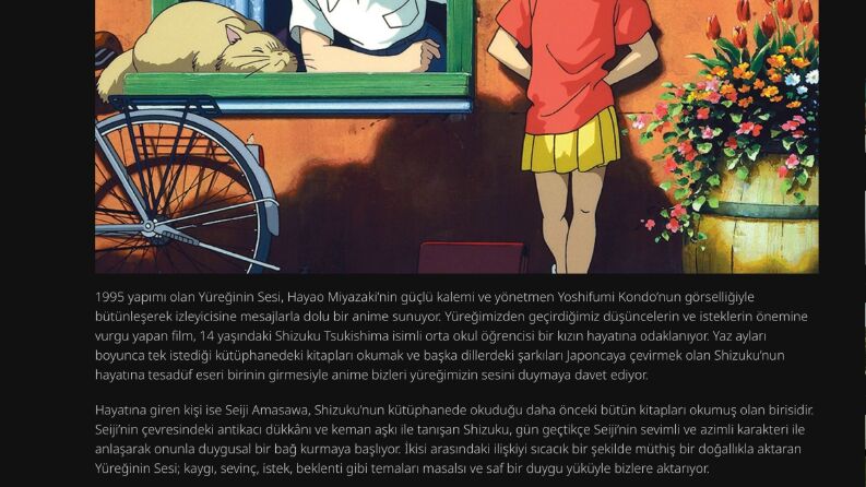 Web sitesi içeriği