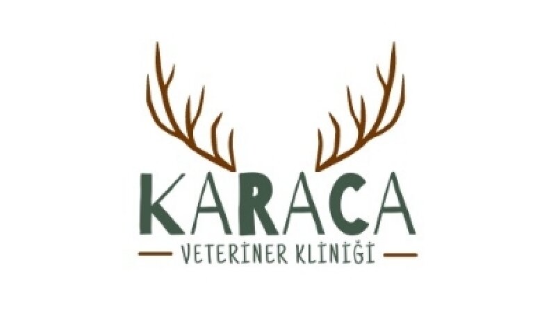 Logo Tasarımı 