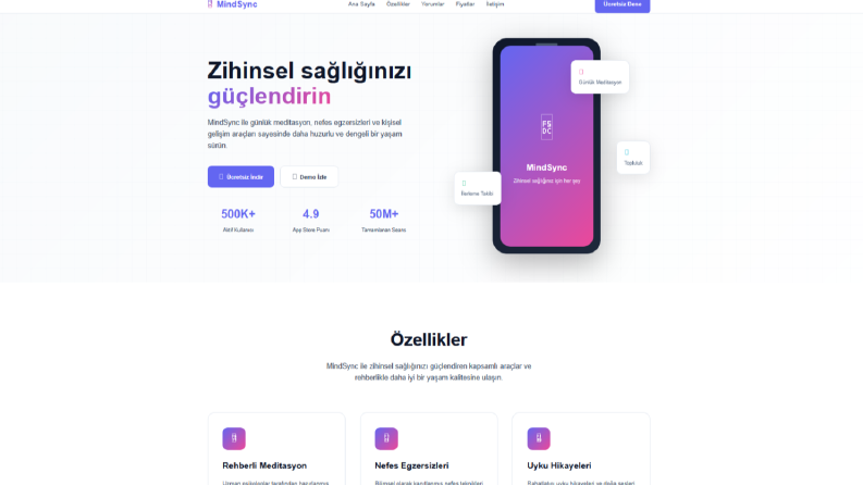 Web Site Tasarımı